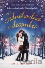 Jedného dňa v decembri