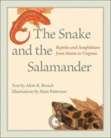 The Snake and the Salamander : Reptiles and Amphibians from Maine to Virginia