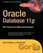 Oracle Database 11g