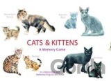 Cats and Kittens