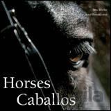 Horses Caballos