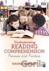 Understanding Reading Comprehension