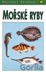 Mořské ryby - Steinbach