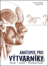 Anatomie pro výtvarníky