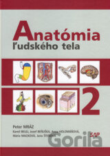 Anatómia ľudského tela 2