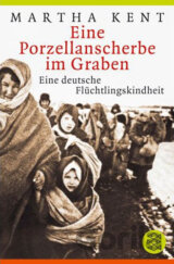 Eine Porzellanscherbe im Graben