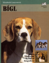 Bígl