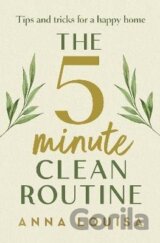 The 5 Minute Clean Routine