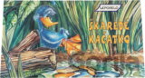 Škaredé káčatko