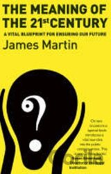 The Meaning Of The 21st Century: A Vital Blueprint For Ensuring Our Future