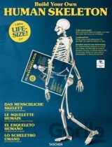 Build Your Own Human Skeleton