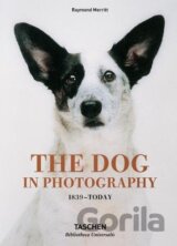 The Dog in Photography