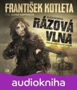 Rázová vlna