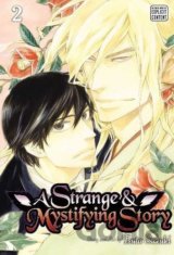 A Strange and Mystifying Story (Volume 2)