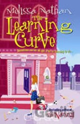 Learning Curve