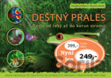 Deštný prales