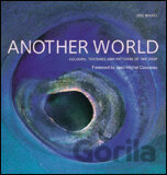Another World