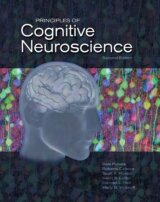 Principles of Cognitive Neuroscience