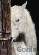 Equine Beauty