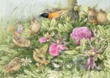 Feast in the Meadow