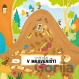 Co se děje v mraveništi