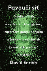 Pavoučí síť