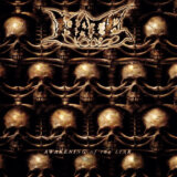 Hate:  Awakening Of Lair