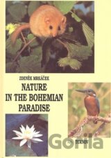 Nature in the Bohemian paradise
