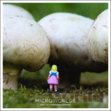 Microworlds