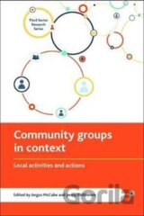 Community Groups in Context : Local Activities and Actions