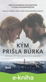 Kým prišla búrka