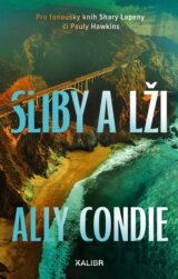 Sliby a lži