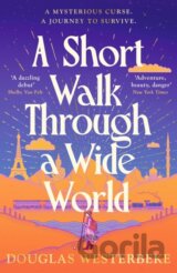 A Short Walk Through a Wide World