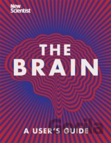 The Brain