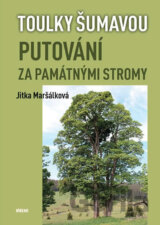 Putování za památnými stromy