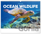 NOTIQUE Nástěnný kalendář Ocean wildlife (Podmořský svět) 2026