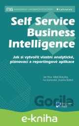 Self Service Business Intelligence
