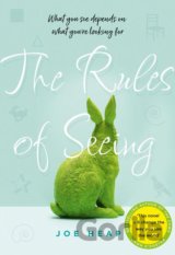 The Rules of Seeing