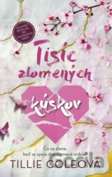 Tisíc zlomených kúskov