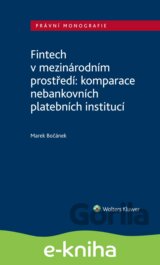 Fintech v mezinárodním prostředí: komparace nebankovních platebních institucí