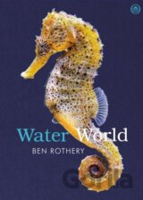 Water World