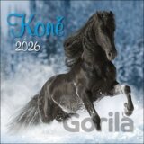 Nástěnný kalendář Koně 2026
