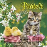 Nástěnný kalendář Přátelé 2026