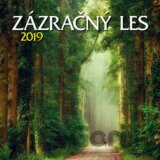 Zázračný les 2019
