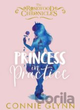 Princess in Practice