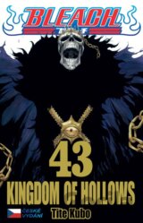 Bleach 43: Kingdom of Hollows