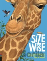 Size Wise