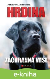 Hrdina: Záchranná mise