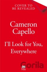 Ill Look for You, Everywhere