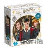 Harry Potter Harry, Ron a Hermiona